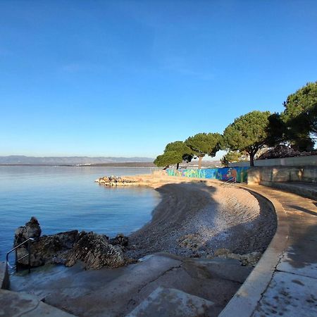 Apartment Camellia Vantacici Dış mekan fotoğraf