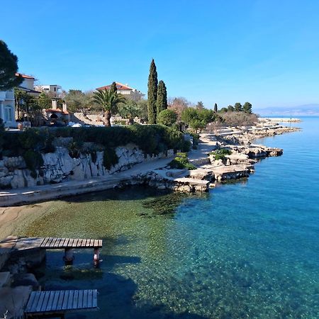 Apartment Camellia Vantacici Dış mekan fotoğraf