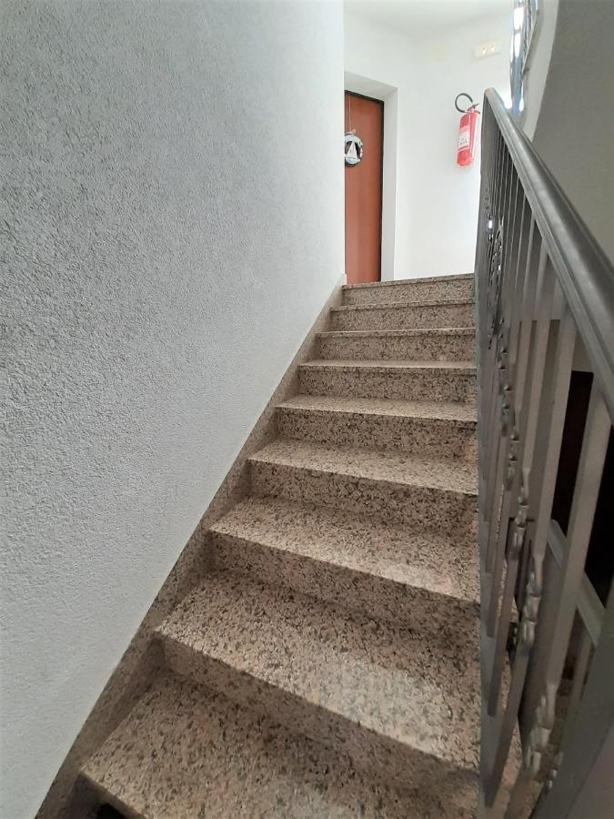 Apartment Camellia Vantacici Dış mekan fotoğraf