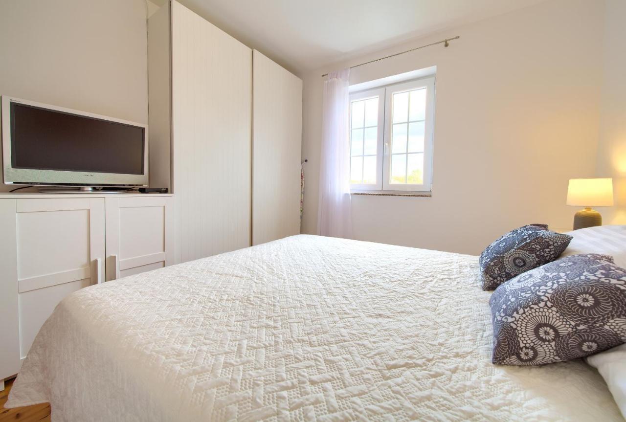 Apartment Camellia Vantacici Dış mekan fotoğraf