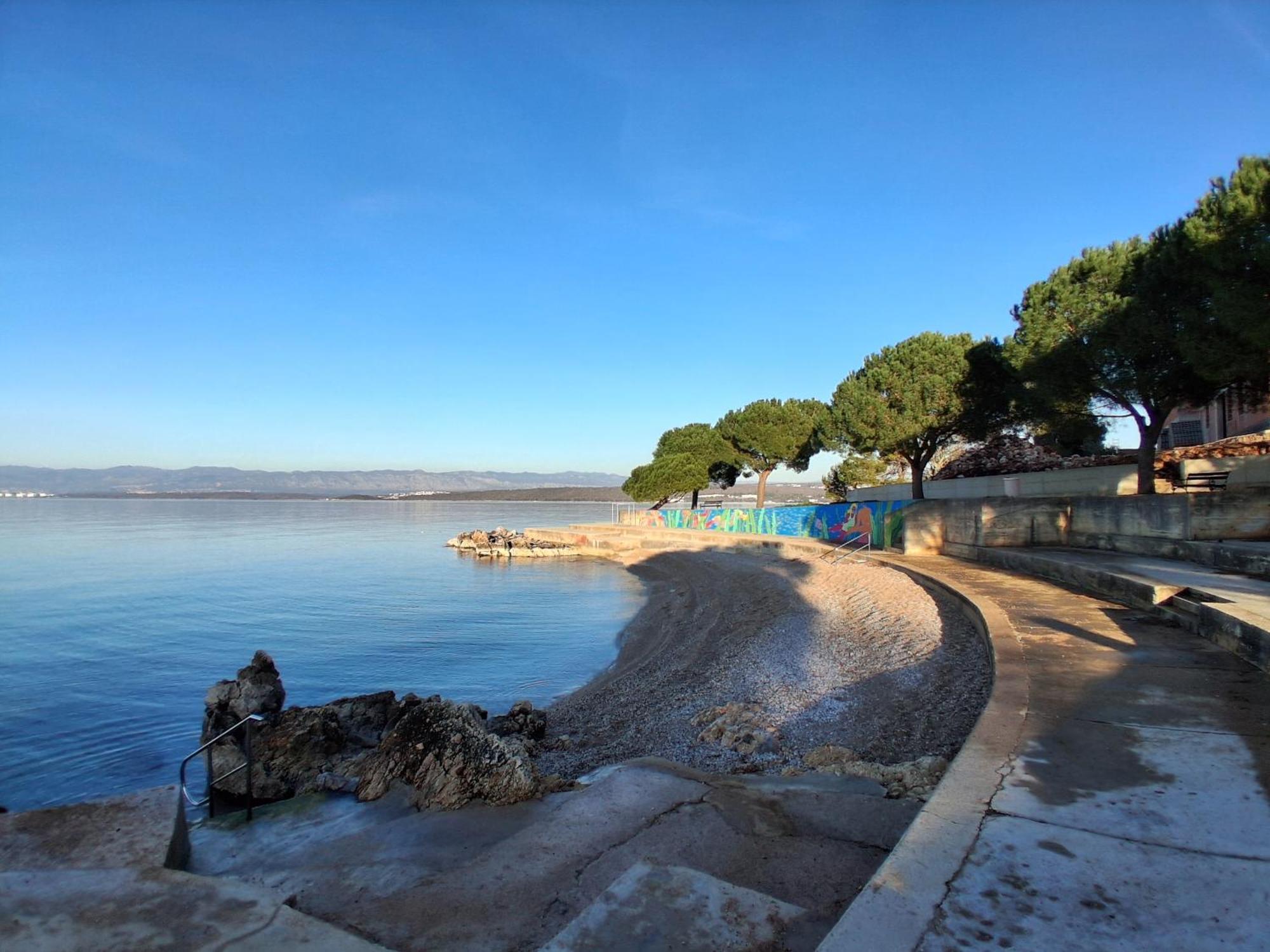 Apartment Camellia Vantacici Dış mekan fotoğraf